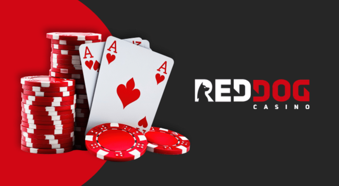 Review of Red Dog Casino: Bonuses and Game Selection 2